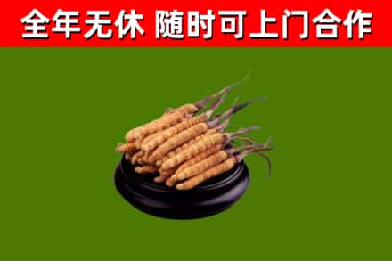 金水区烟酒回收冬虫夏草.jpg